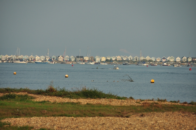 07 09 14_8458.JPG - STANPIT, NATURE RESERVE - CHRISTCHURCH DORSET - 7.9.14 - LOOKING OVER TO THE MOST EXPENSIVE BEACH HUTS ANYWHERE, AT MUDEFORD